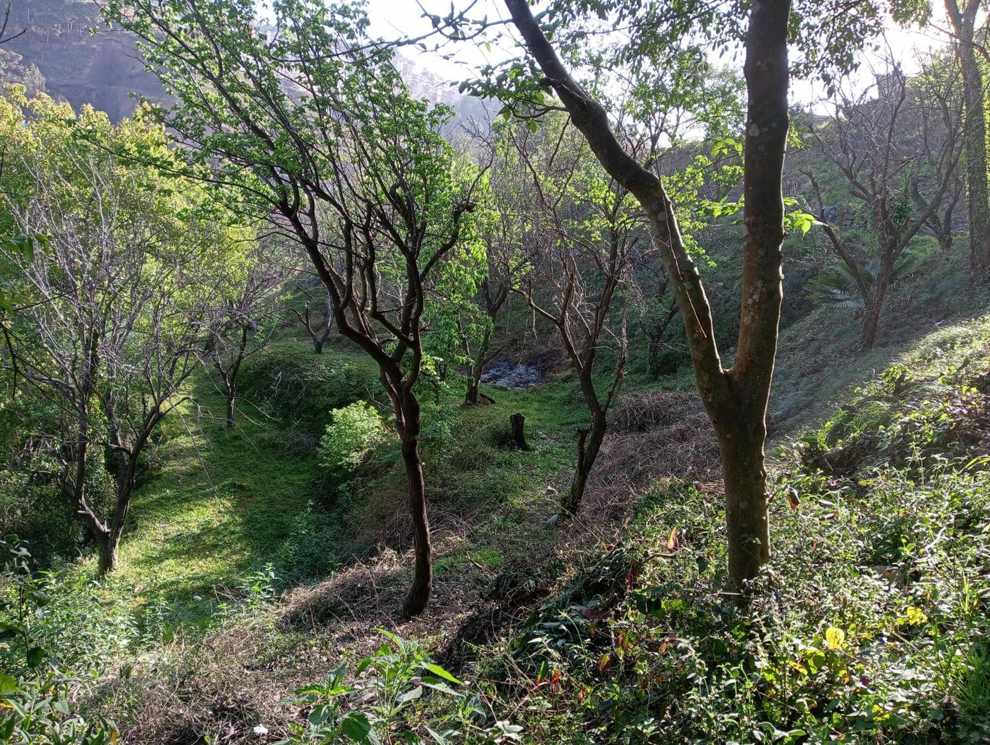 Mohija Homestay Kandāghāt Εξωτερικό φωτογραφία